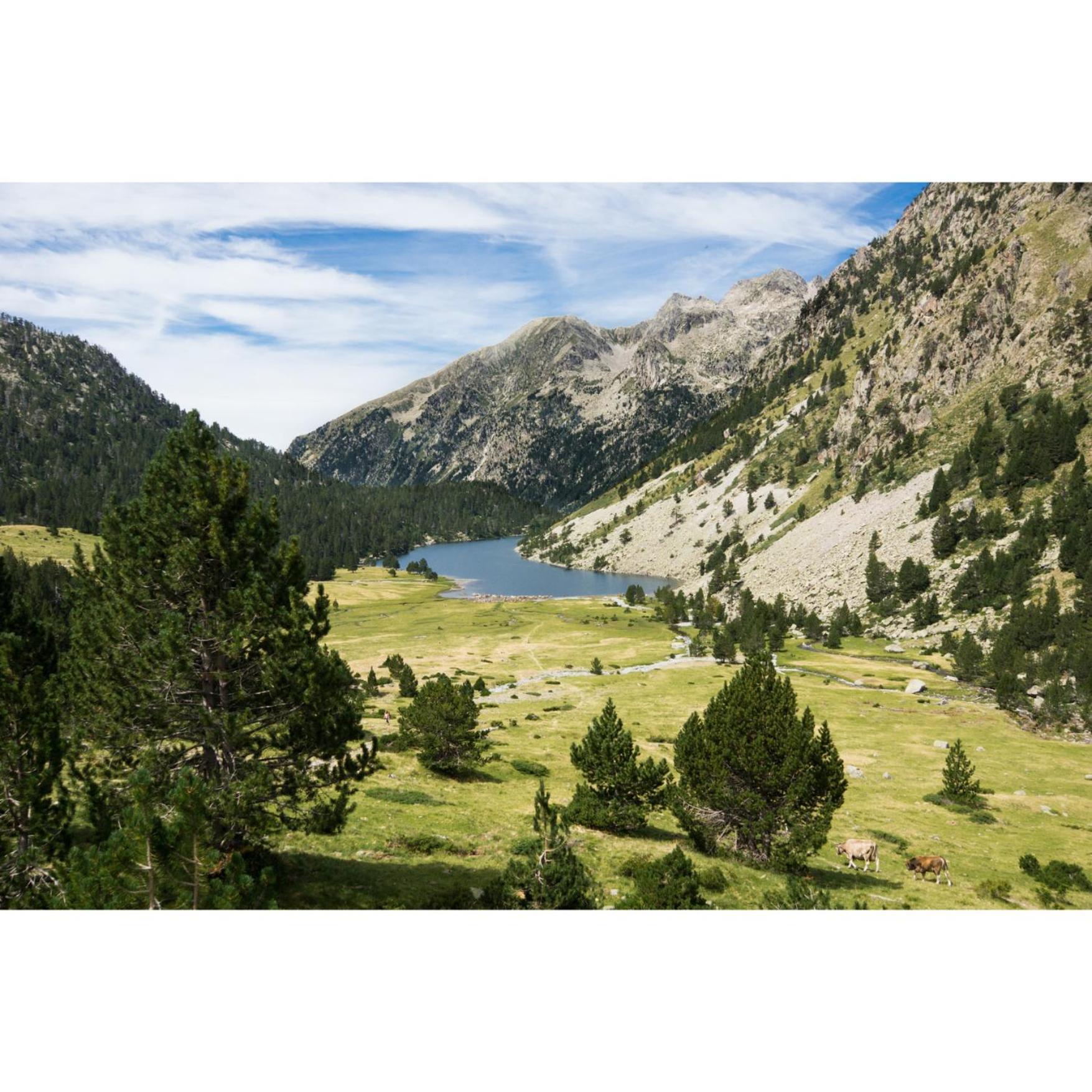 Charmant T3 Avec Vue Montagne Et Parking Privatif Font-Romeu-Odeillo-Via Bagian luar foto